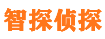 岭东侦探公司